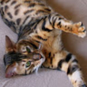 Meet your Posher, Josie